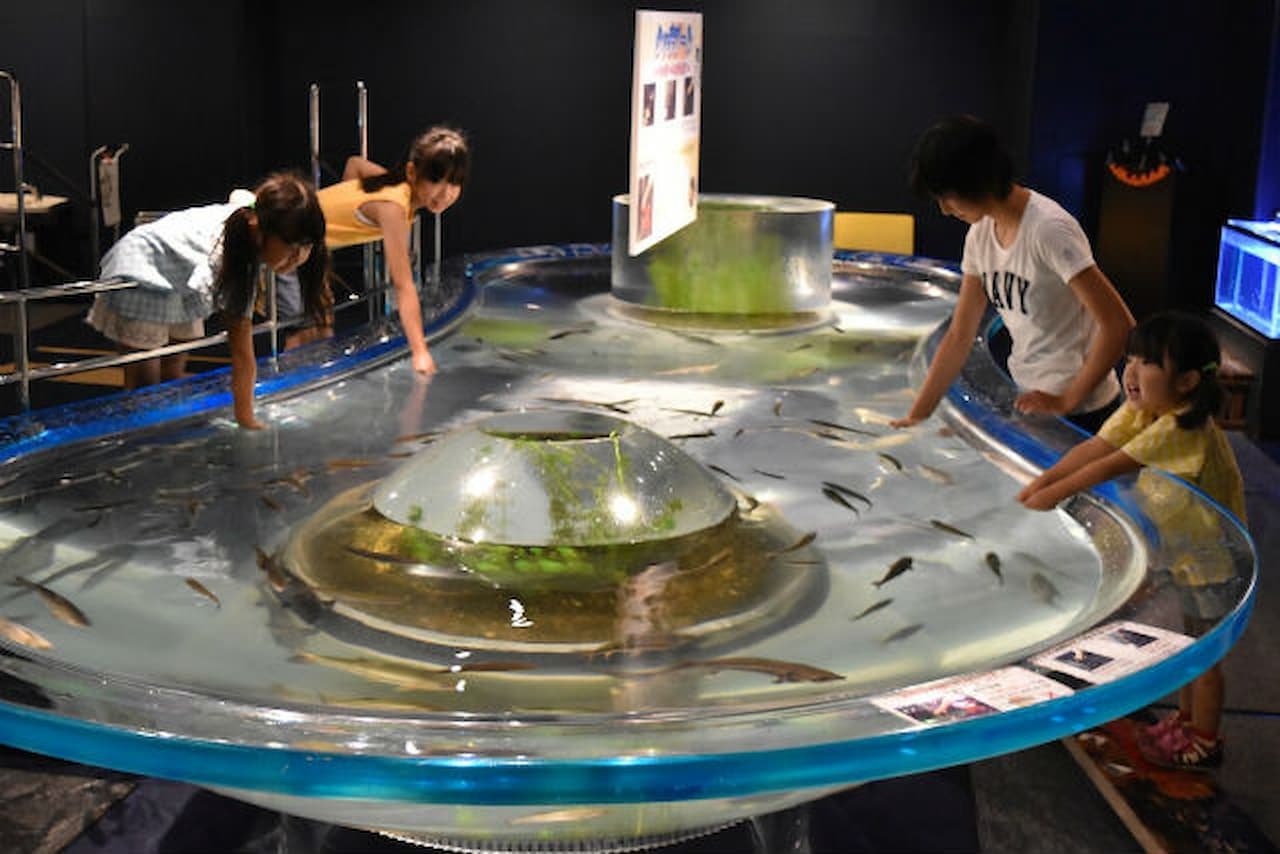 Salmon Hometown Chitose Aquarium Ticket - image 2
