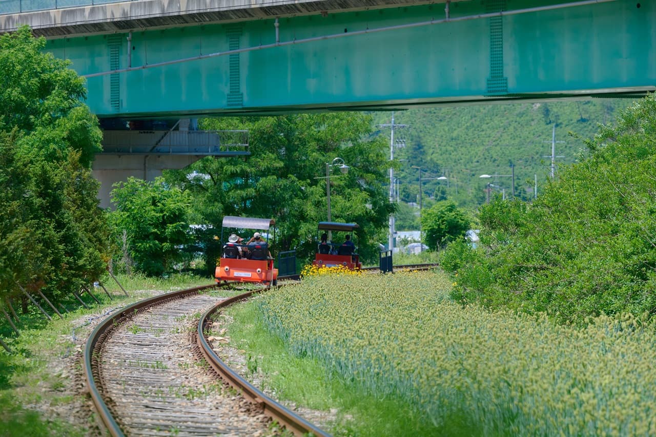 Nami Island, Mount Seorak, and Gapyeong Rail Bike Full-Day Tour from Seoul - 이미지 22