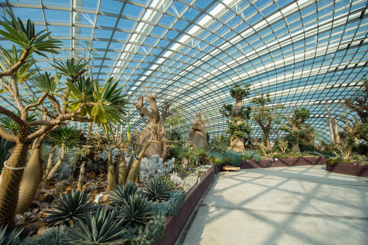 COMBO: Singapore Oceanarium + Gardens by the Bay Ticket - image 9