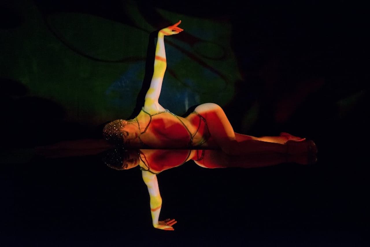 Crazy Horse Paris Show Ticket - image 2