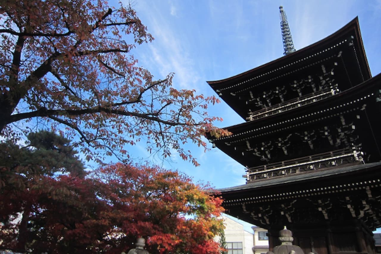 Ishikawa White Ring Bus Tour - image 2