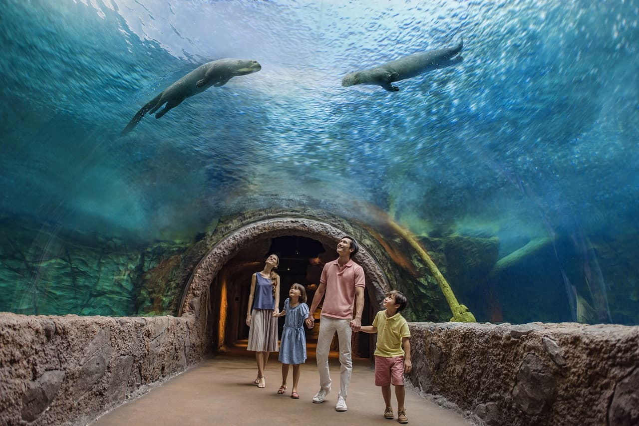 River Wonders Singapore Ticket - image 2