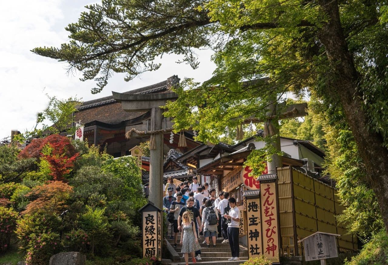Kyoto Full-Day Tour: Nijo Castle, Kinkaku-ji,  Fushimi Inari Taisha, Kiyomizu-dera Temple - image 12