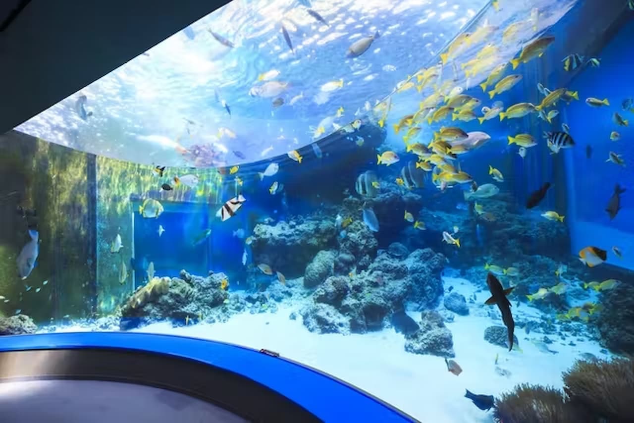 Okinawa Churaumi Aquarium Ticket - image 3