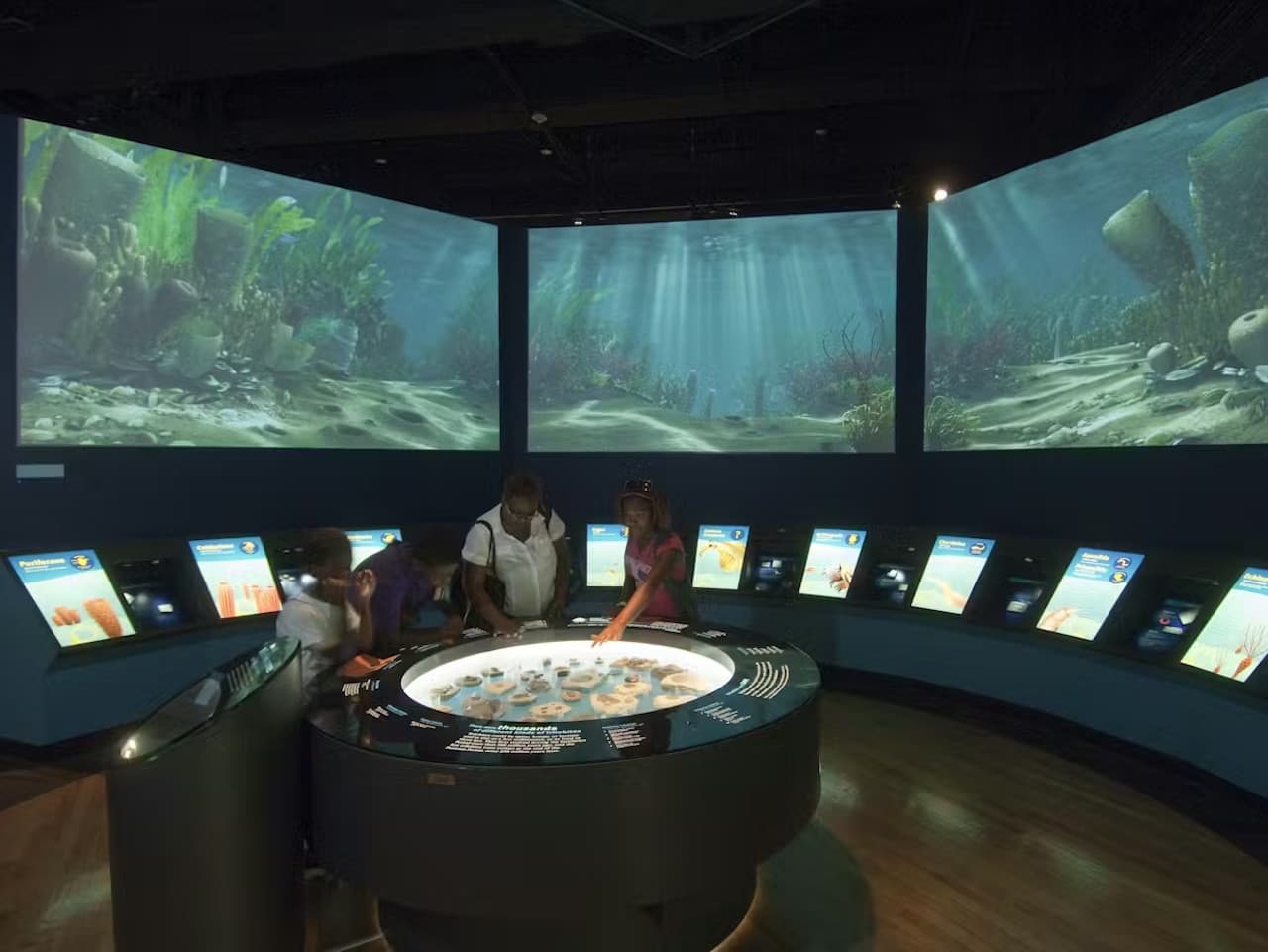 The Field Museum of Natural History Ticket - imagen 7