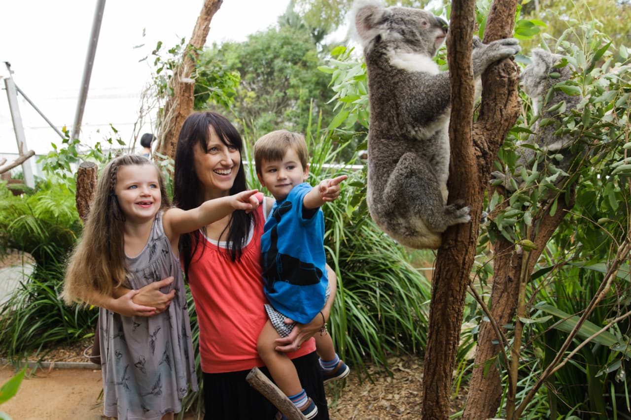 Sydney Multi-Attraction Pass - image 16