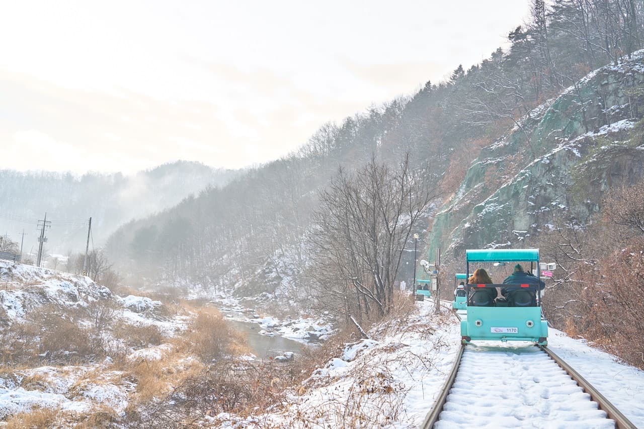 Nami Island, Mount Seorak, and Gapyeong Rail Bike Full-Day Tour from Seoul - 이미지 9