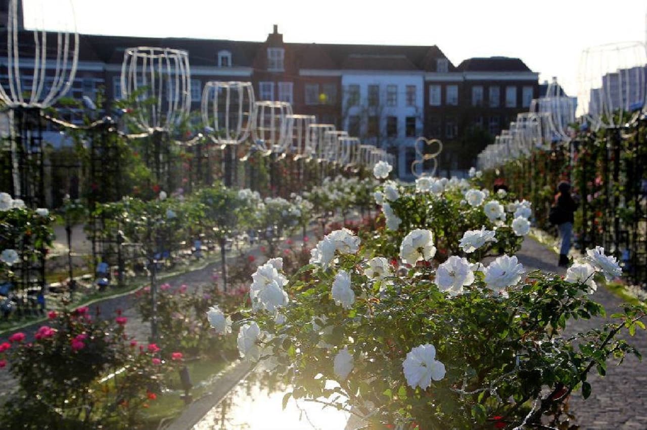 Huis Ten Bosch Theme Park - image 12