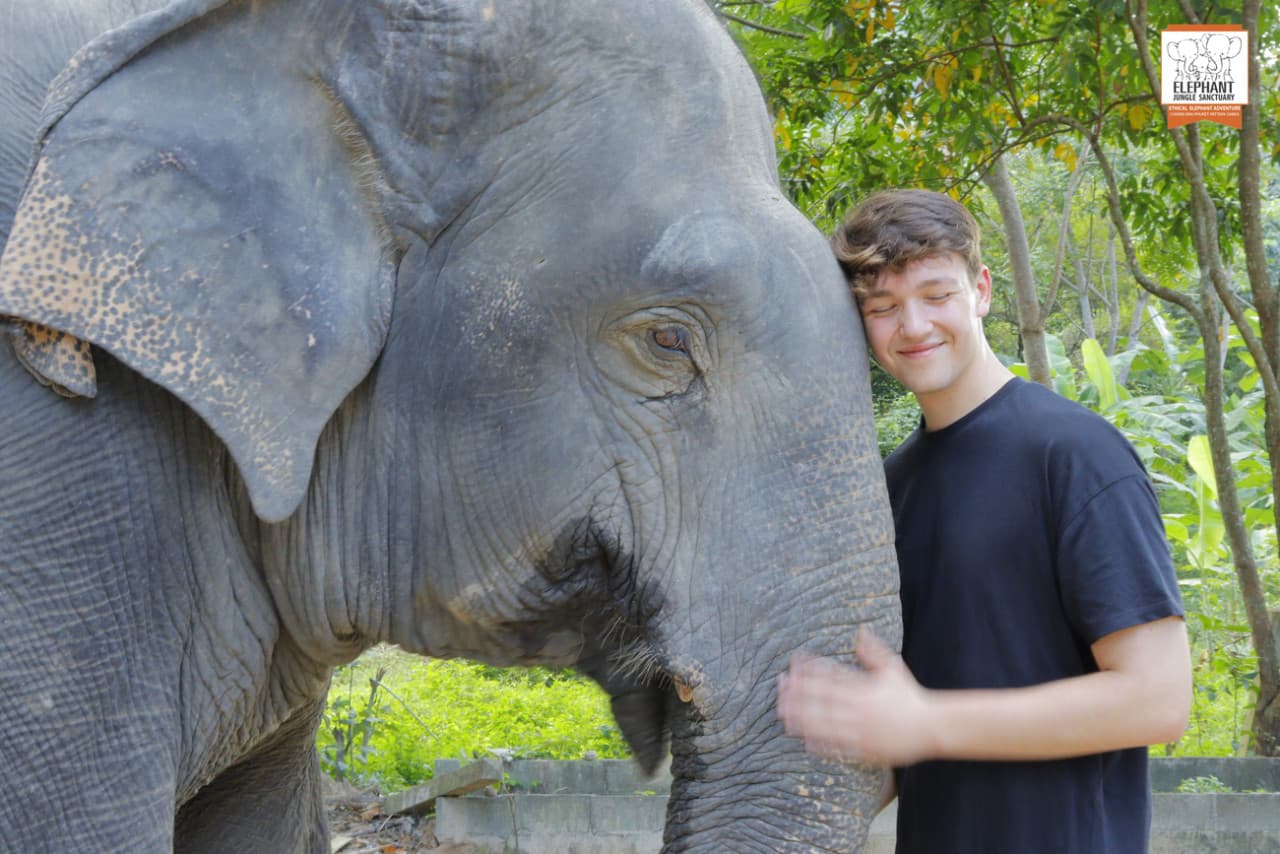 Elephant Jungle Sanctuary Koh Samui - image 6