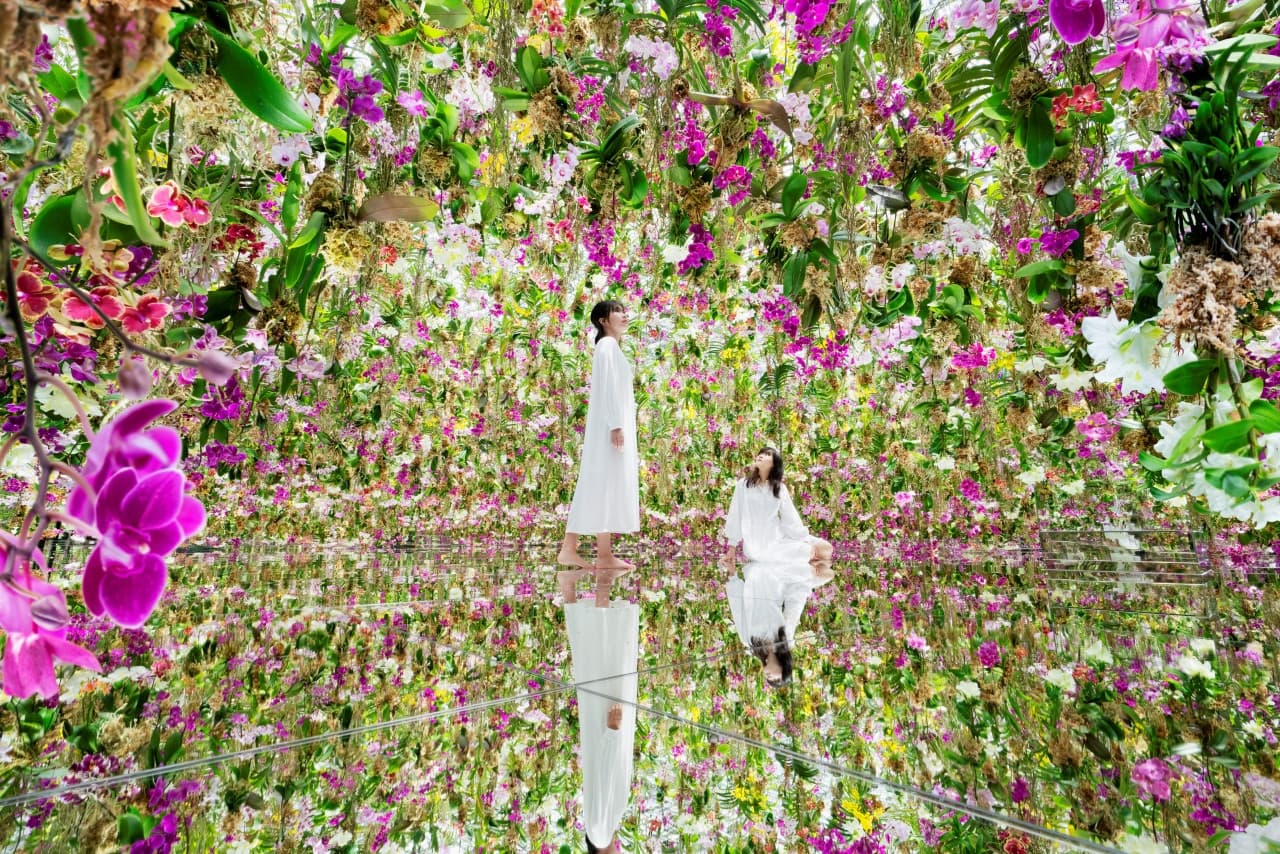 teamLab SuperNature Macao 3D Interactive Exhibition Ticket - main image