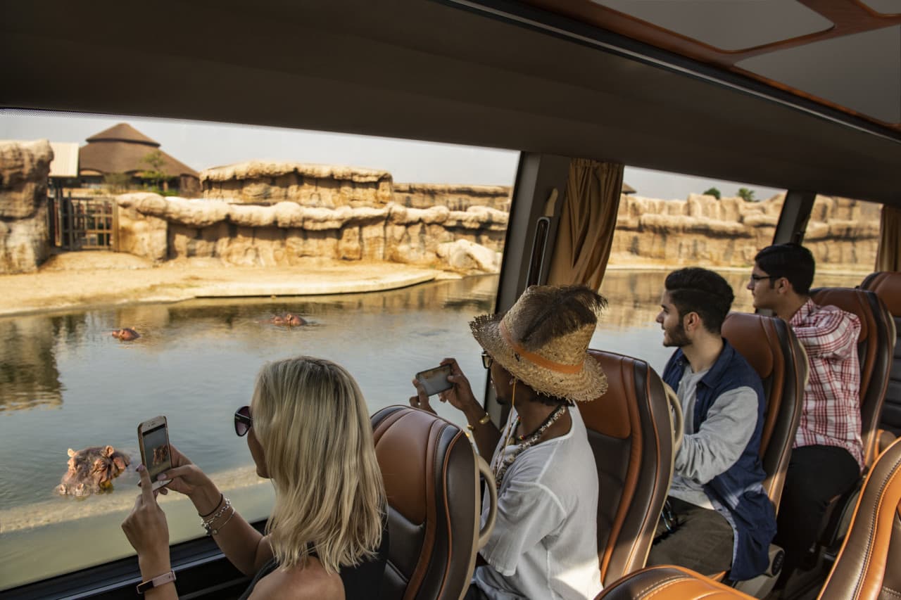 Dubai Safari Park Ticket - image 5
