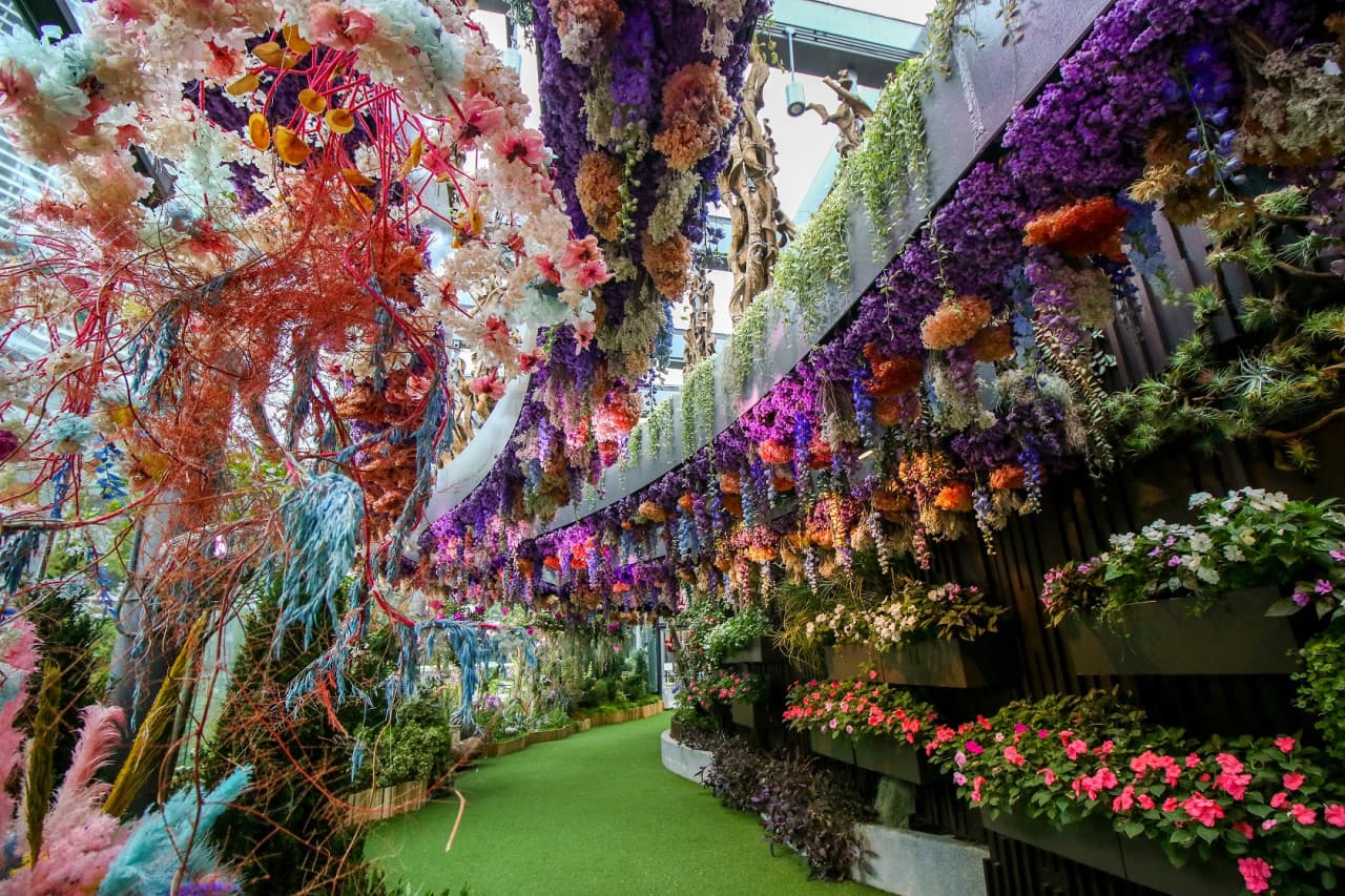 COMBO: Gardens by the Bay - Floral Fantasy + National Orchid Garden - image 8