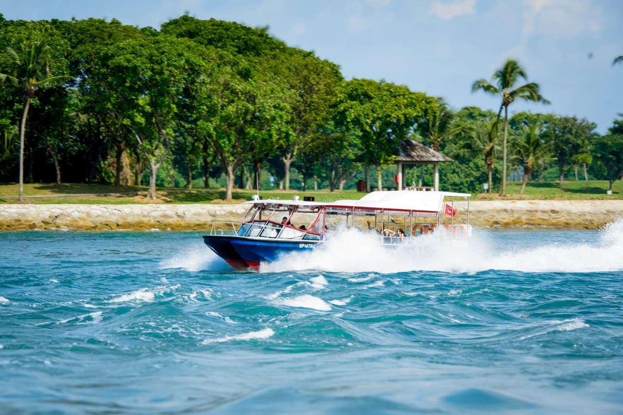 COMBO: Teleférico de Singapur + Oceanarium de Singapur + Entradas para el speedboat Hop-on Hop-off Albatross - imagen 7