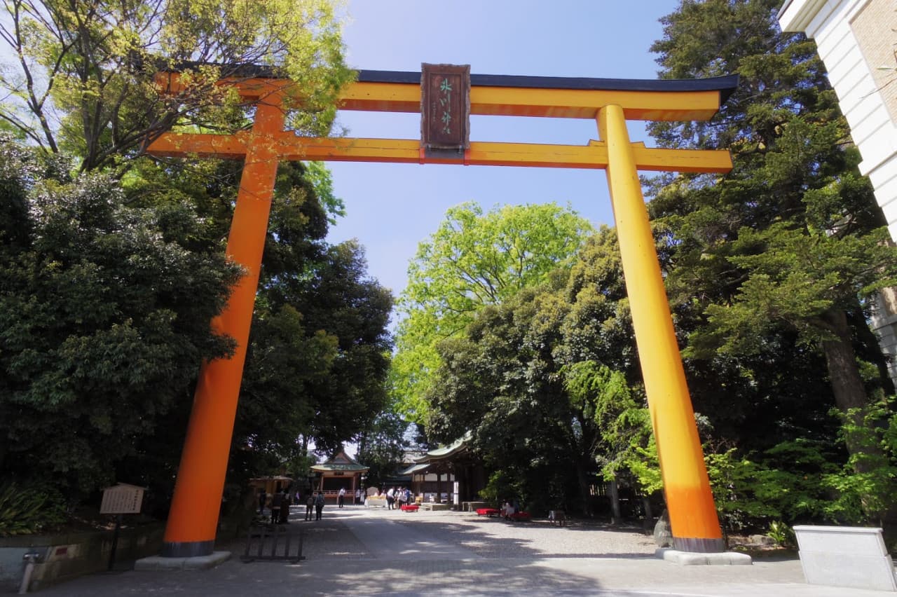 Pase Seibu de 1 día - imagen 3