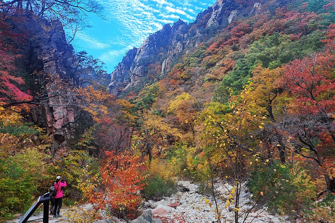 Nami Island, Mount Seorak, and Gapyeong Rail Bike Full-Day Tour from Seoul - 이미지 4
