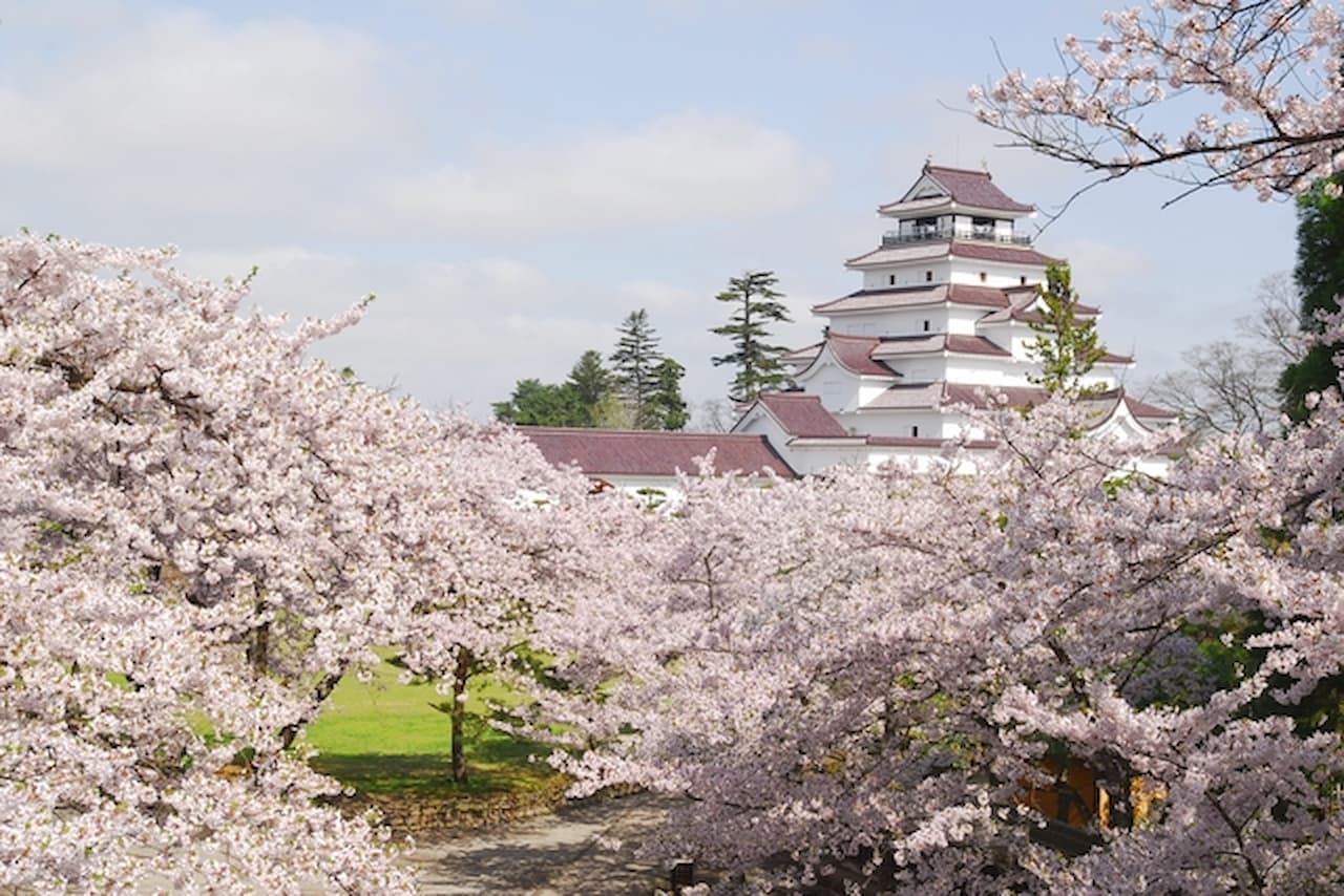 Tsurugajo Castle (Aizu-Wakamatsu Castle) Ticket - image 6