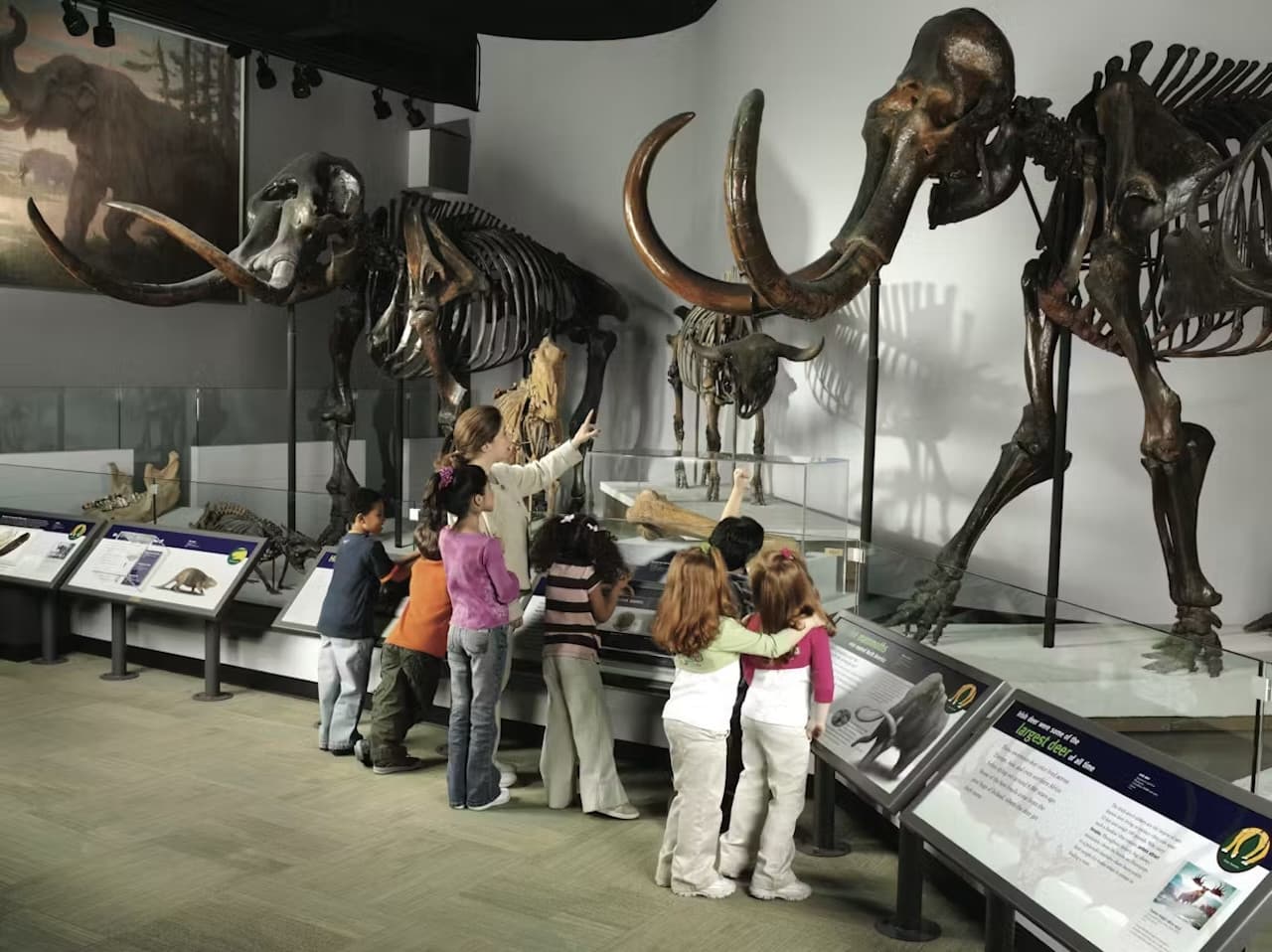 The Field Museum of Natural History Ticket - imagen 3