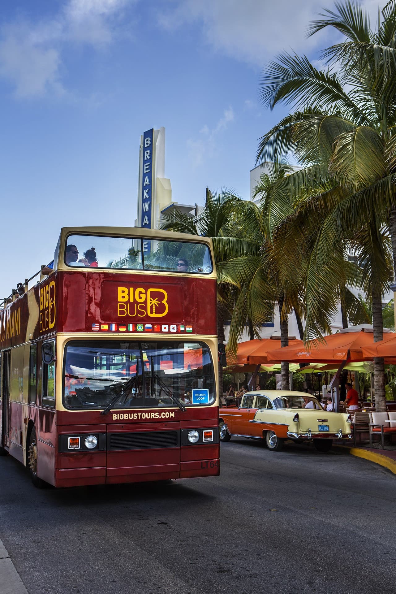 Tour en autobús Hop-on Hop-off Big Bus Miami - imagen 7