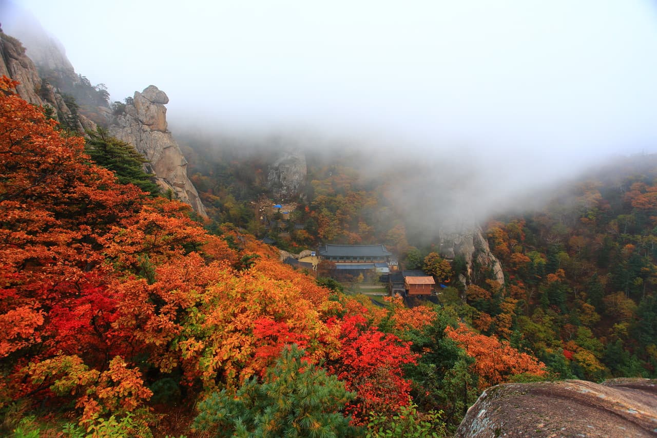 Tour de un día para ver el follaje otoñal en el Parque Nacional del Monte Seorak desde Seúl - imagen 2