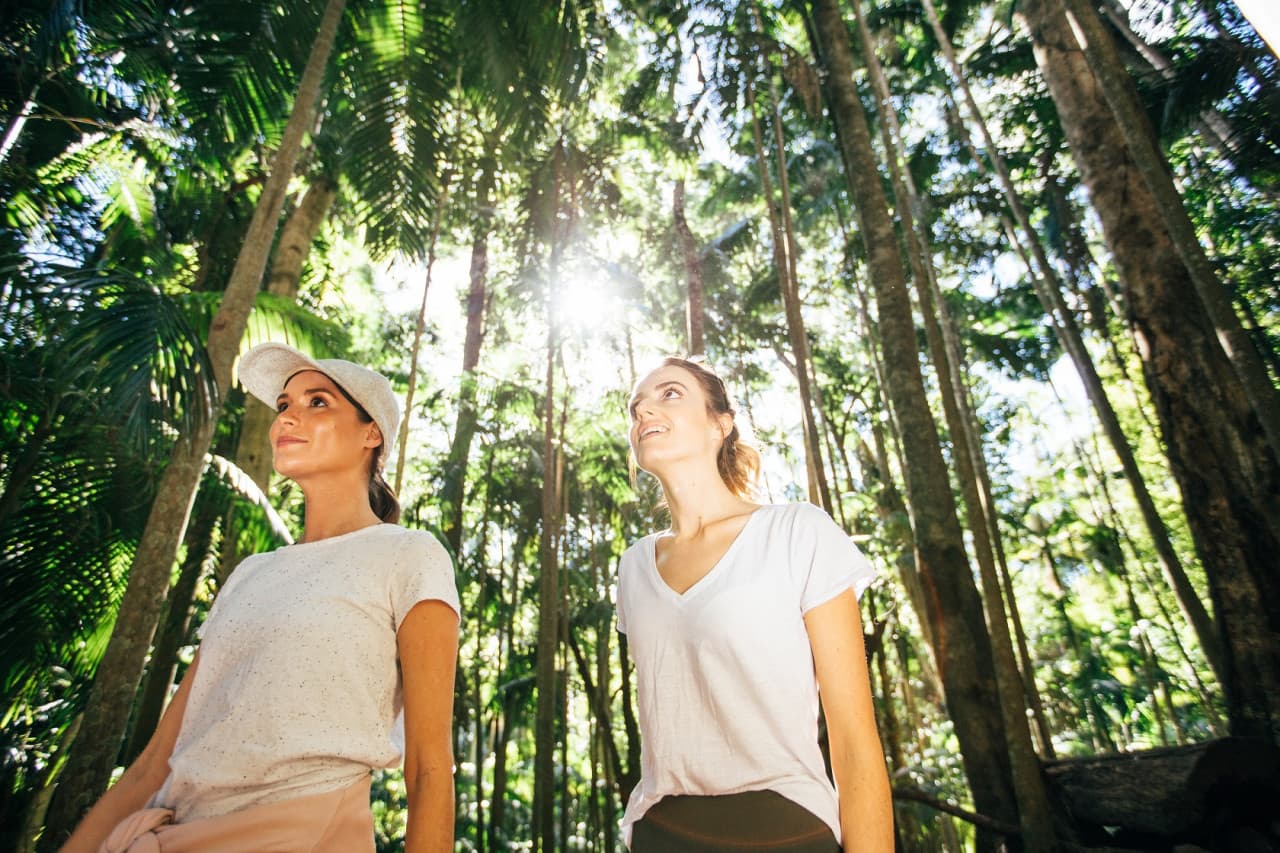 Tamborine Mountain Guided Walk and Wine Tasting Tour - image 3