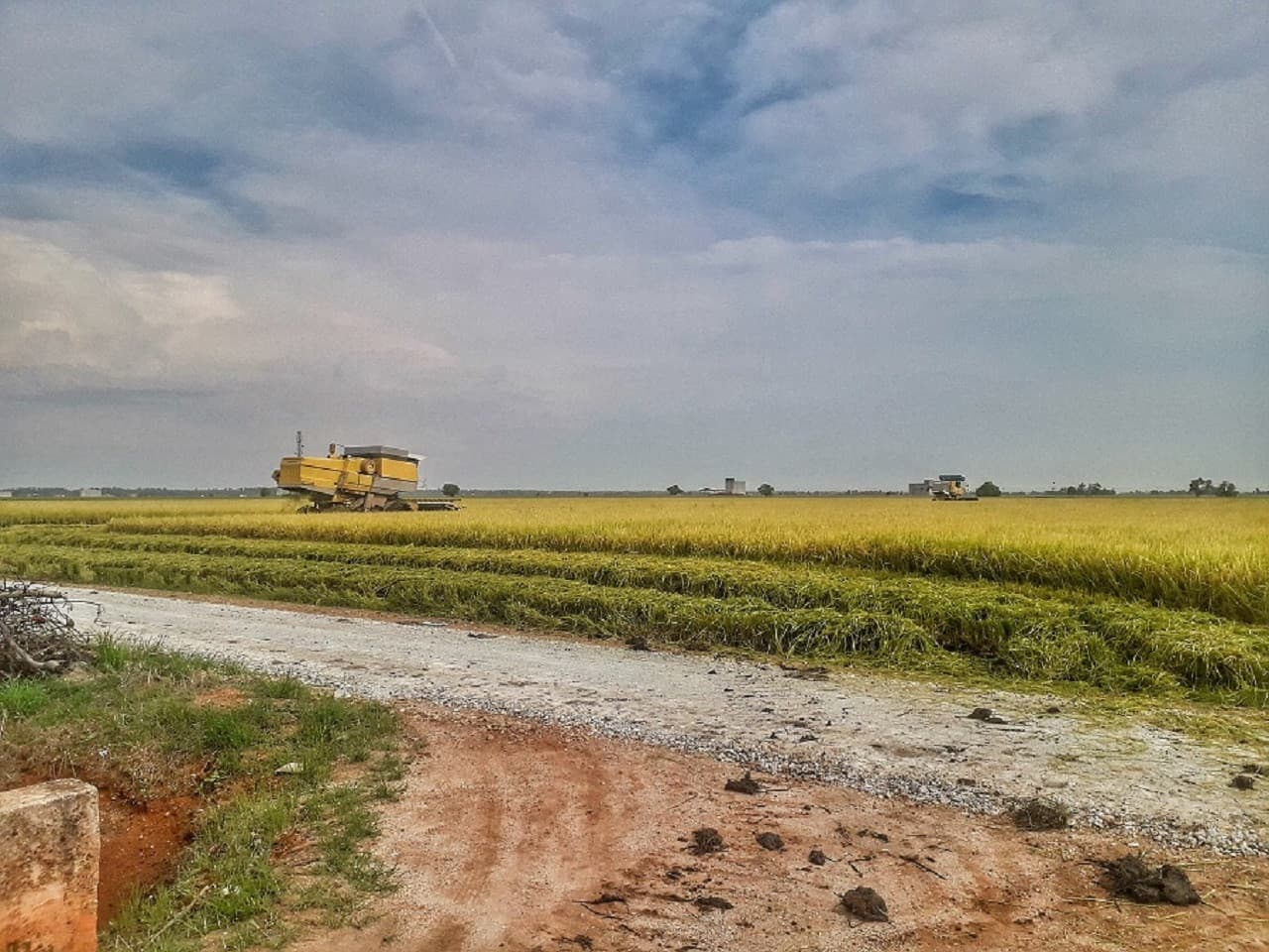Sky Mirror and Sekinchan Paddy Field Tour from Kuala Lumpur - image 6