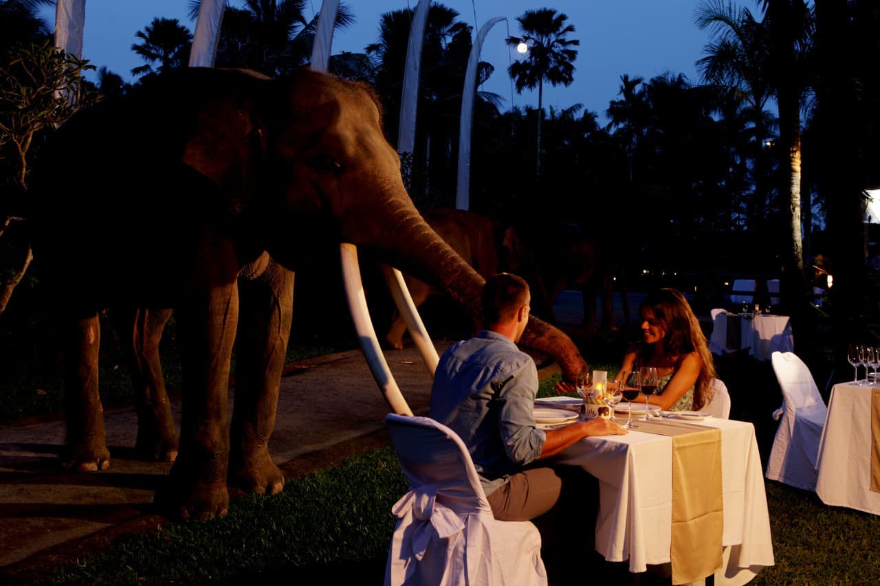 COMBO: Waterbom Bali + Mason Elephant Park Bali Tickets - image 9