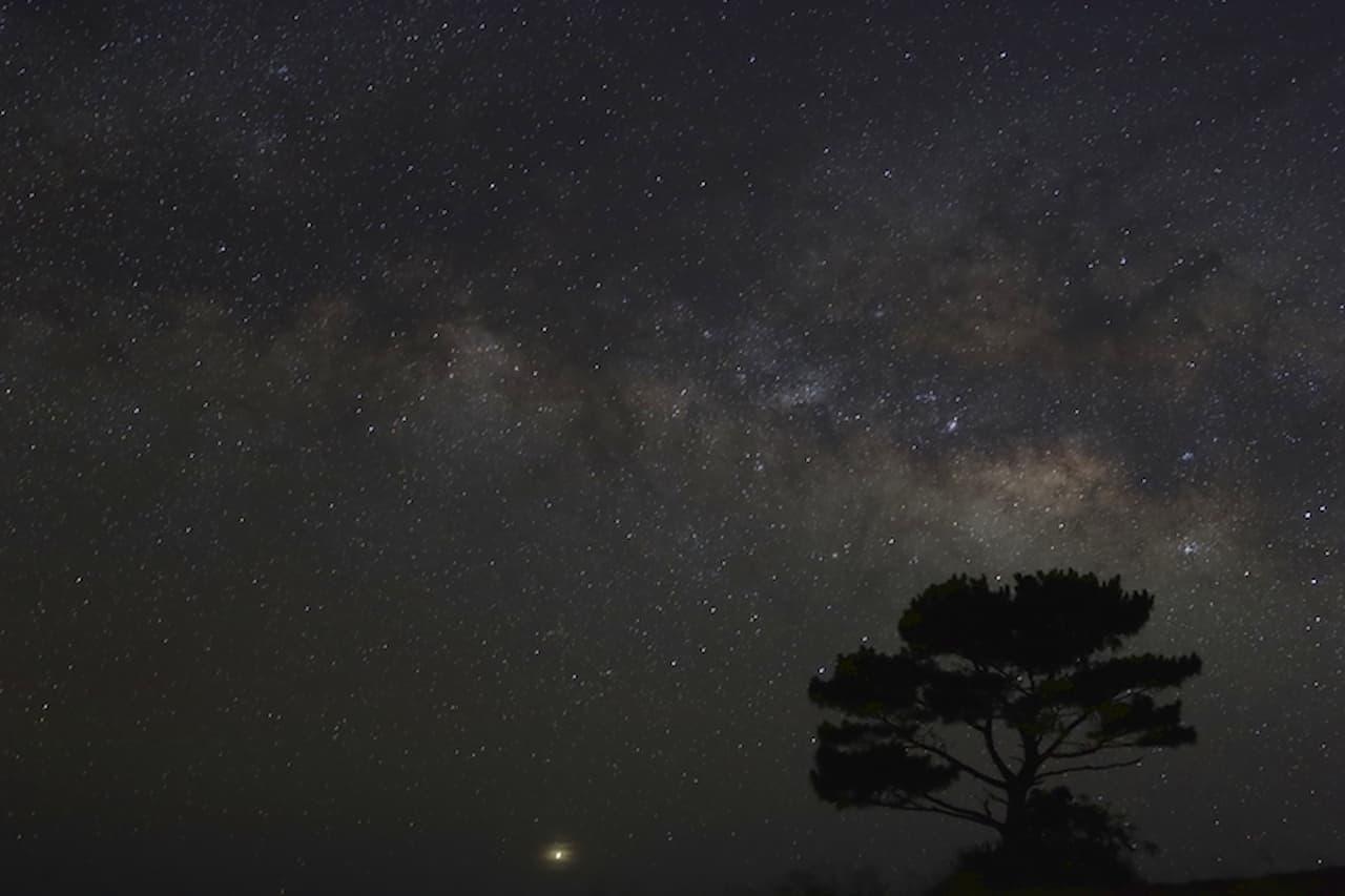 Ishigaki Island Stargazing Experience - image 3