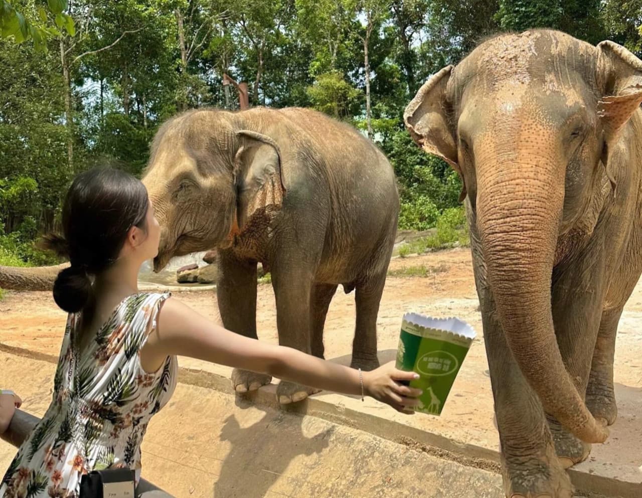 Vinpearl Safari Phu Quoc Ticket - image 13