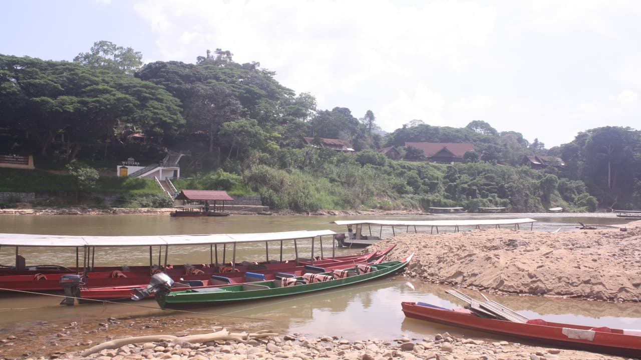 Taman Negara National Park Tour from Kuala Lumpur - image 9