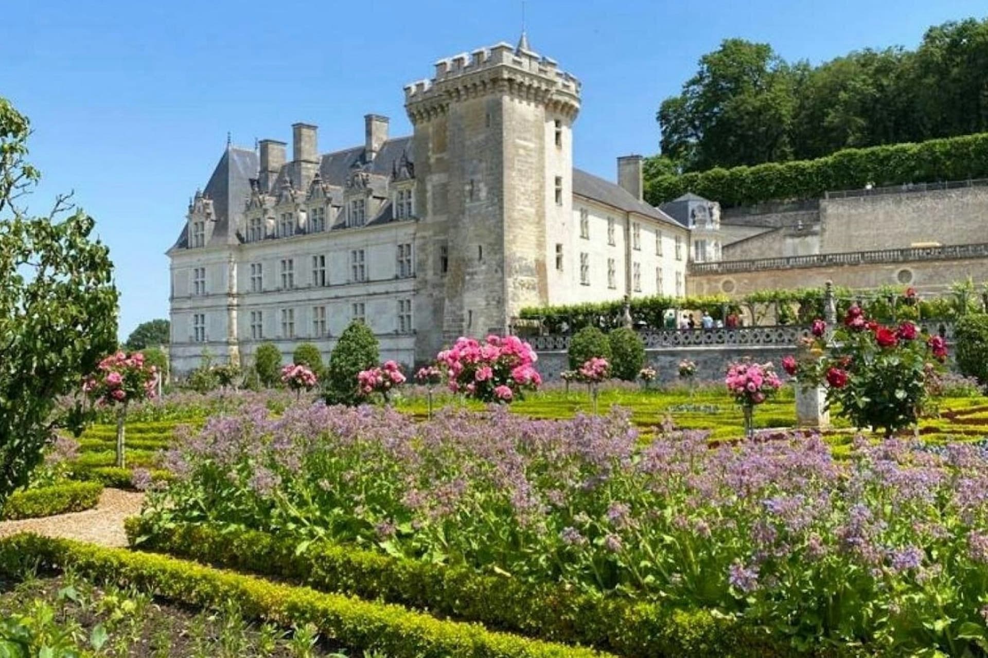 Chateau d'Azay-le-Rideau y jardines de Villandry: excursión guiada desde Tours con entrada - imagen principal