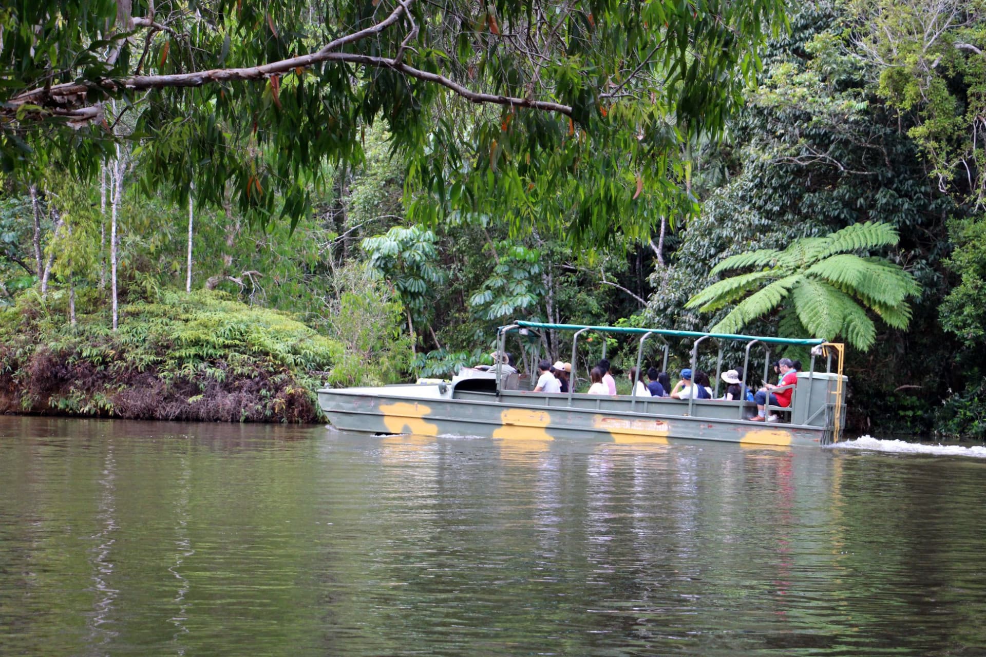 Kuranda Rainforestation Nature Park Full-Day Tour from Cairns with Skyrail Rainforest Cableway - image 6