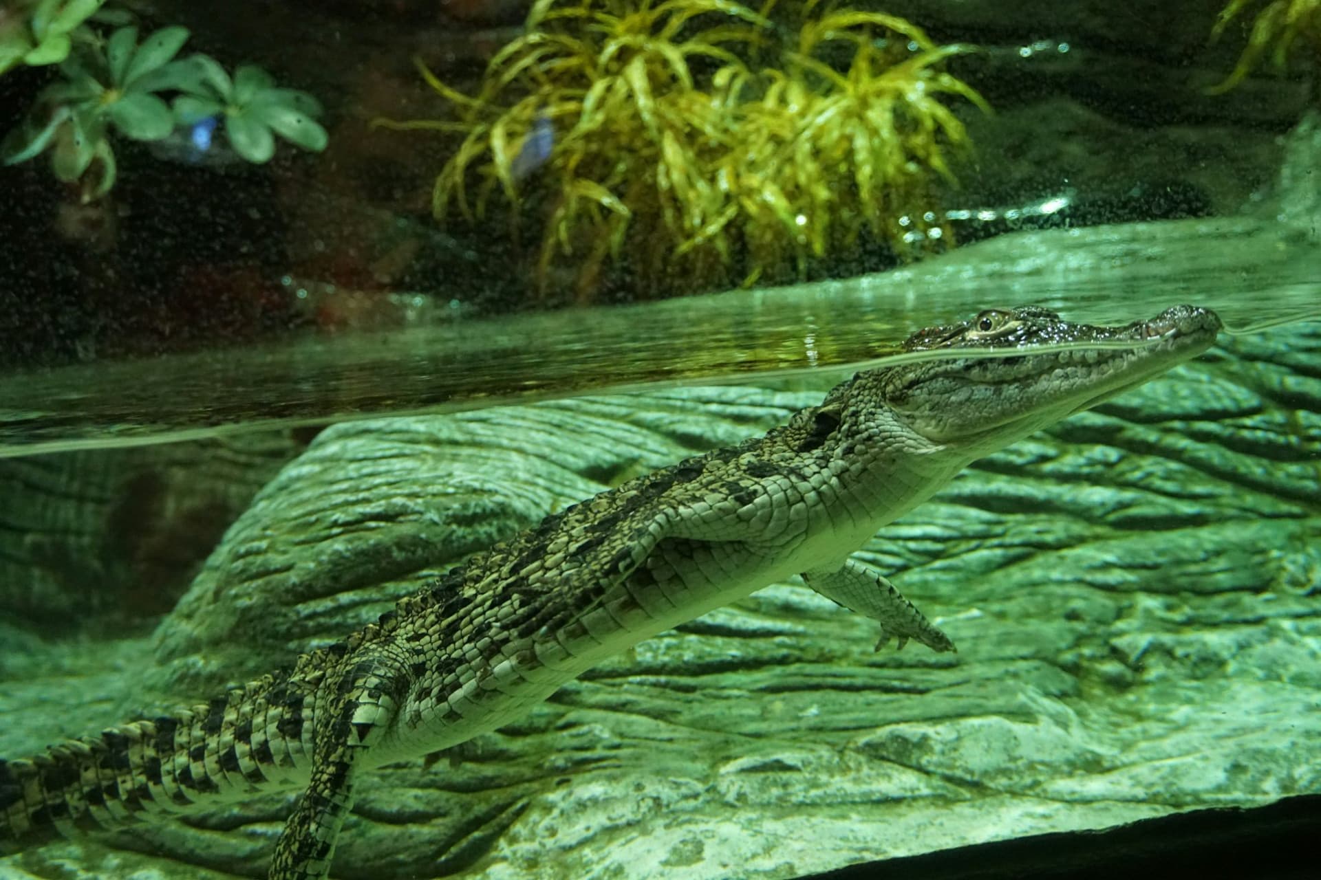 Seville Aquarium Ticket - image 8