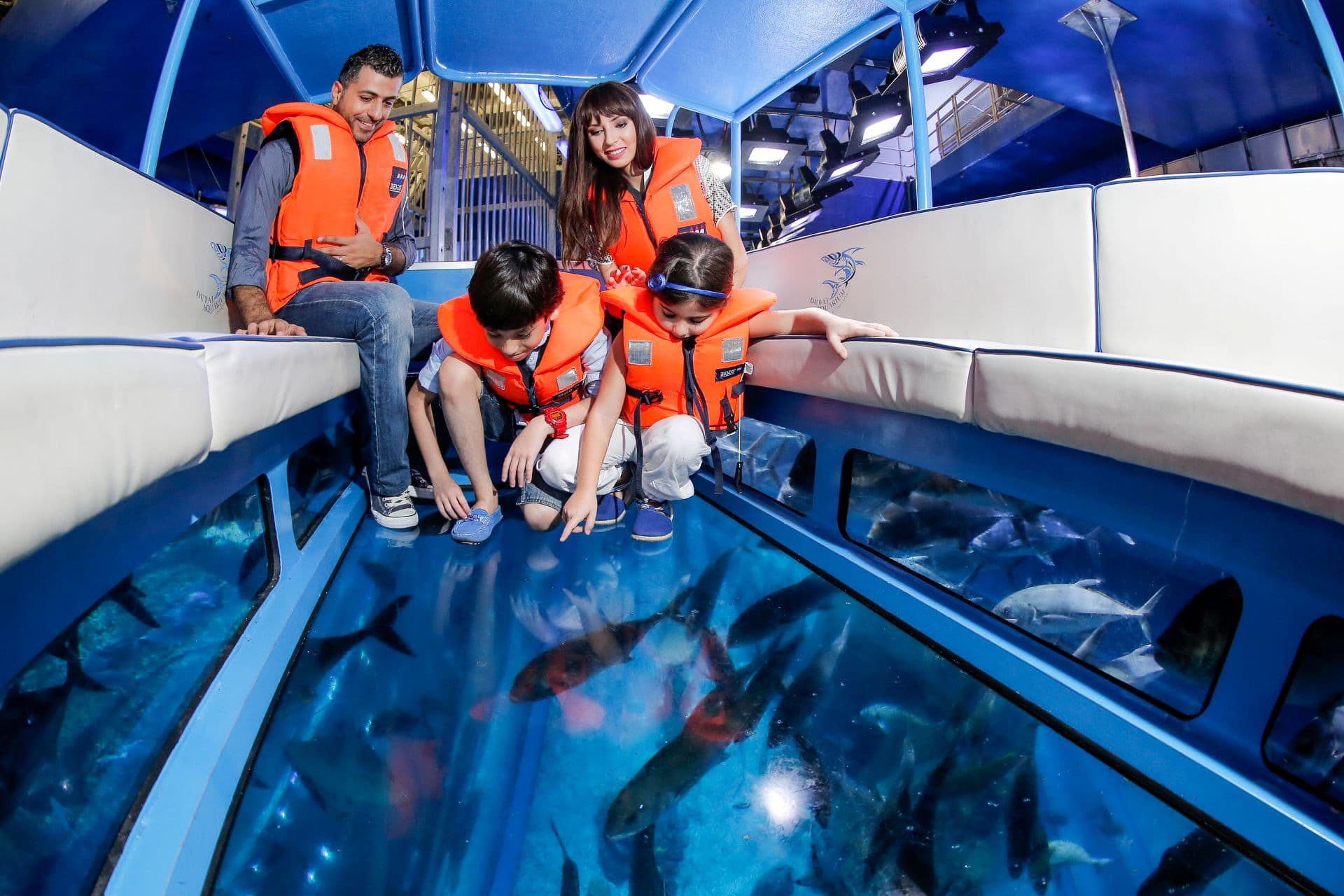 Go City Dubai Highlights Pass: Save up to 50% on Attractions - image 9