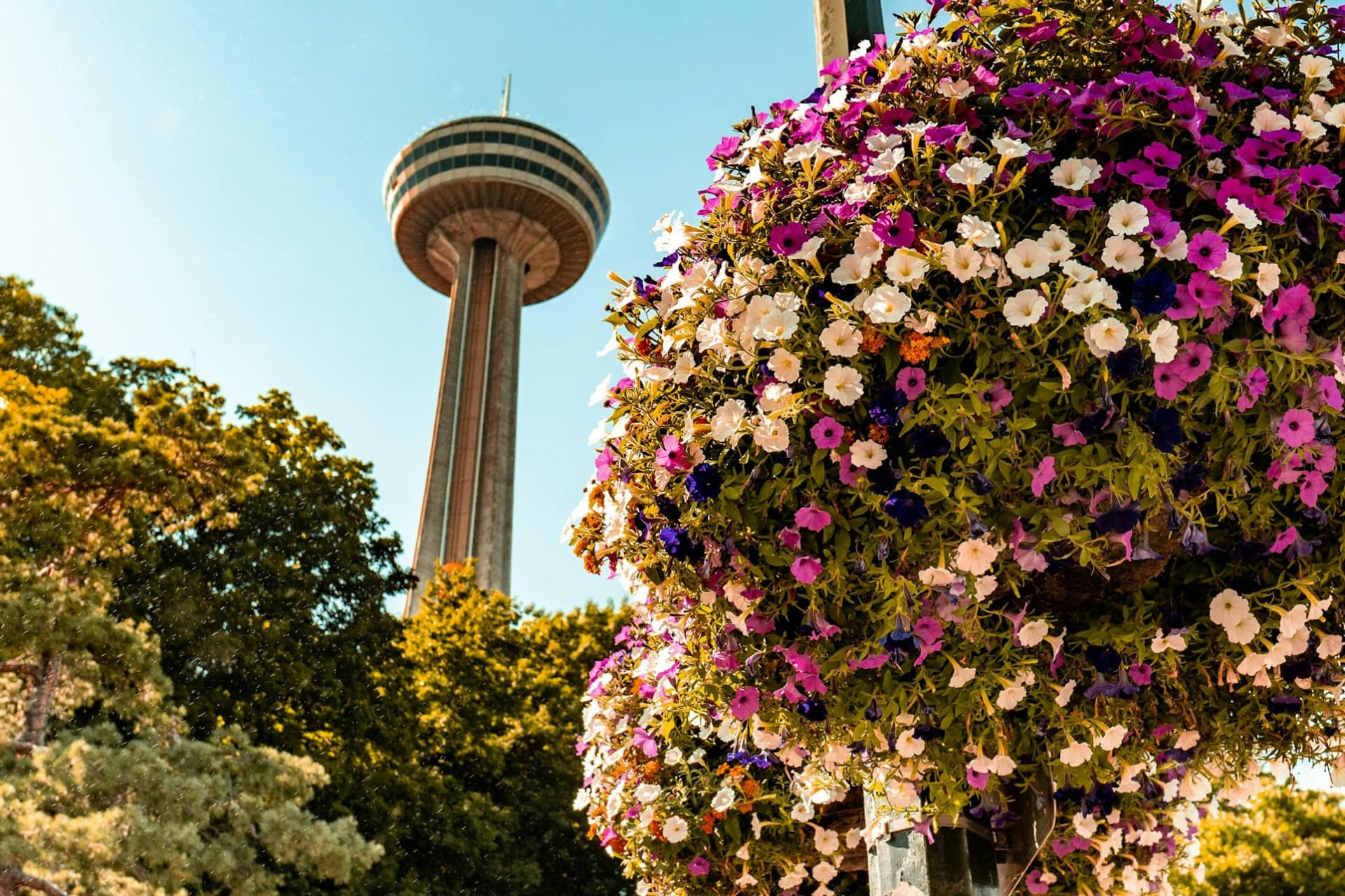 Niagara Falls(US & Canada): Guided Tour with Boat Cruise, Cave of the Winds & Skylon Tower - main image