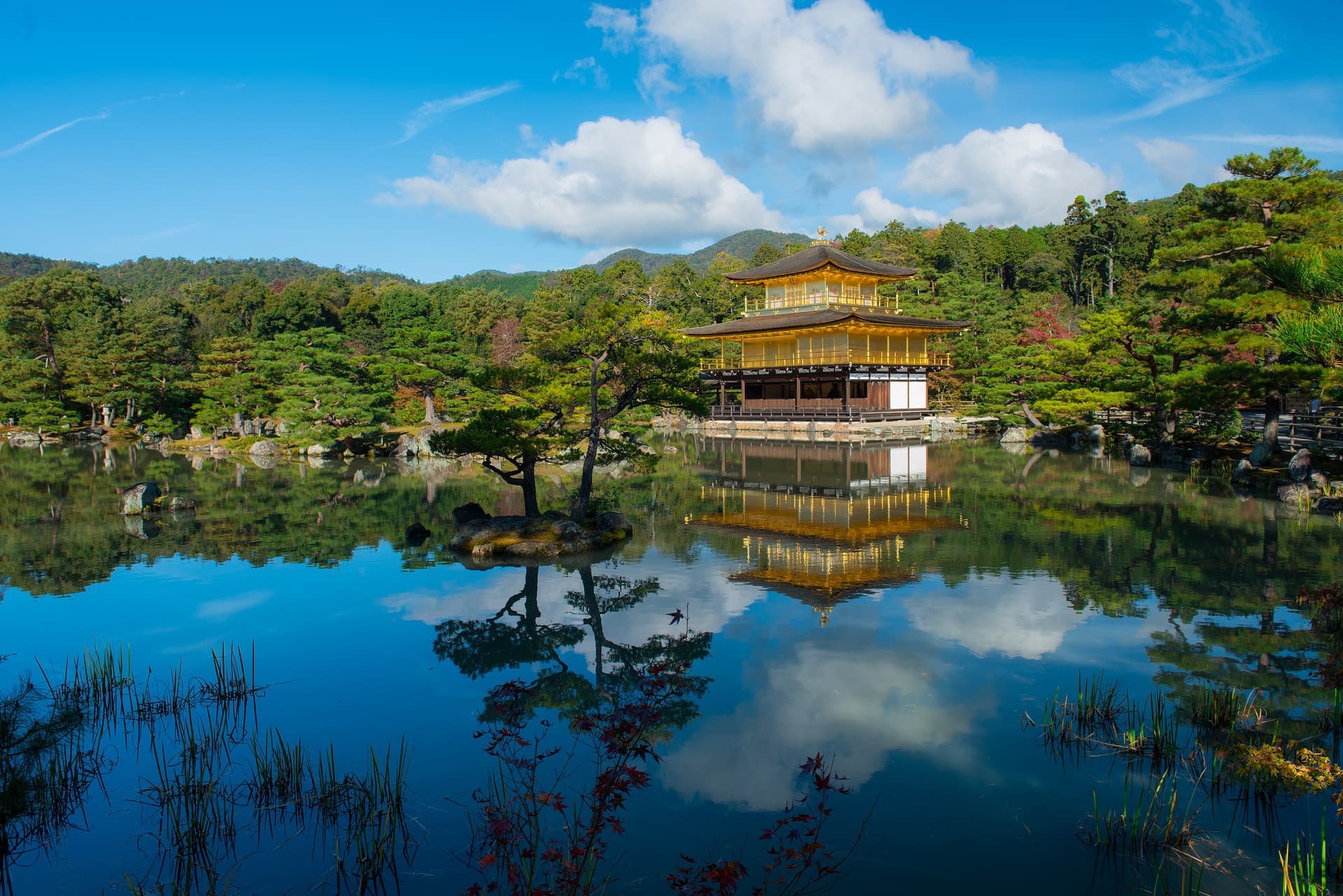 Kyoto and Nara Tour from Osaka - image 5