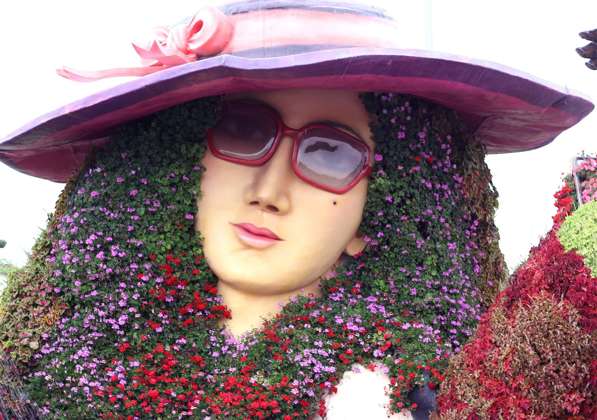 Entrada para Dubai Miracle Garden - imagen 9