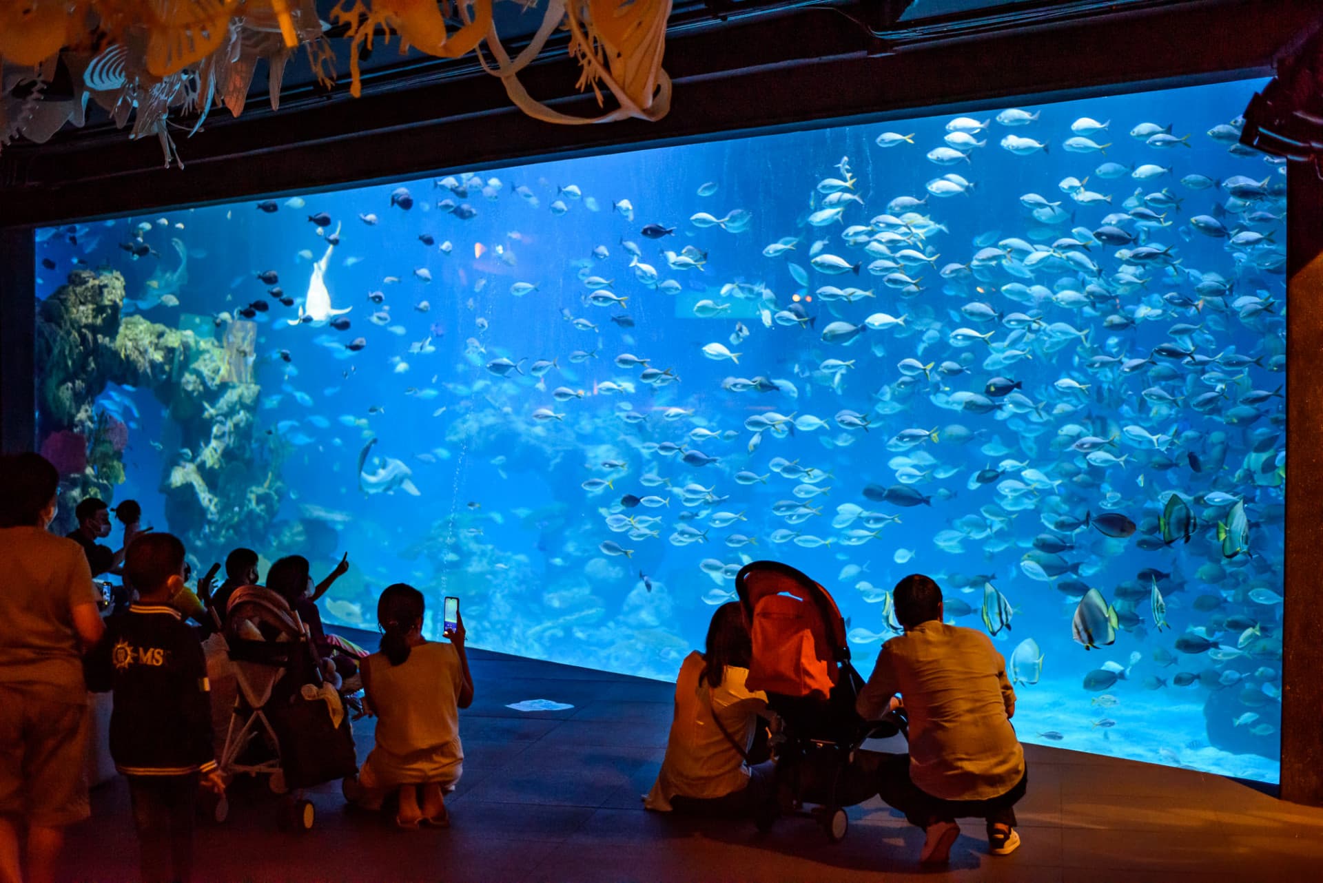 Aquaria Phuket - image 3