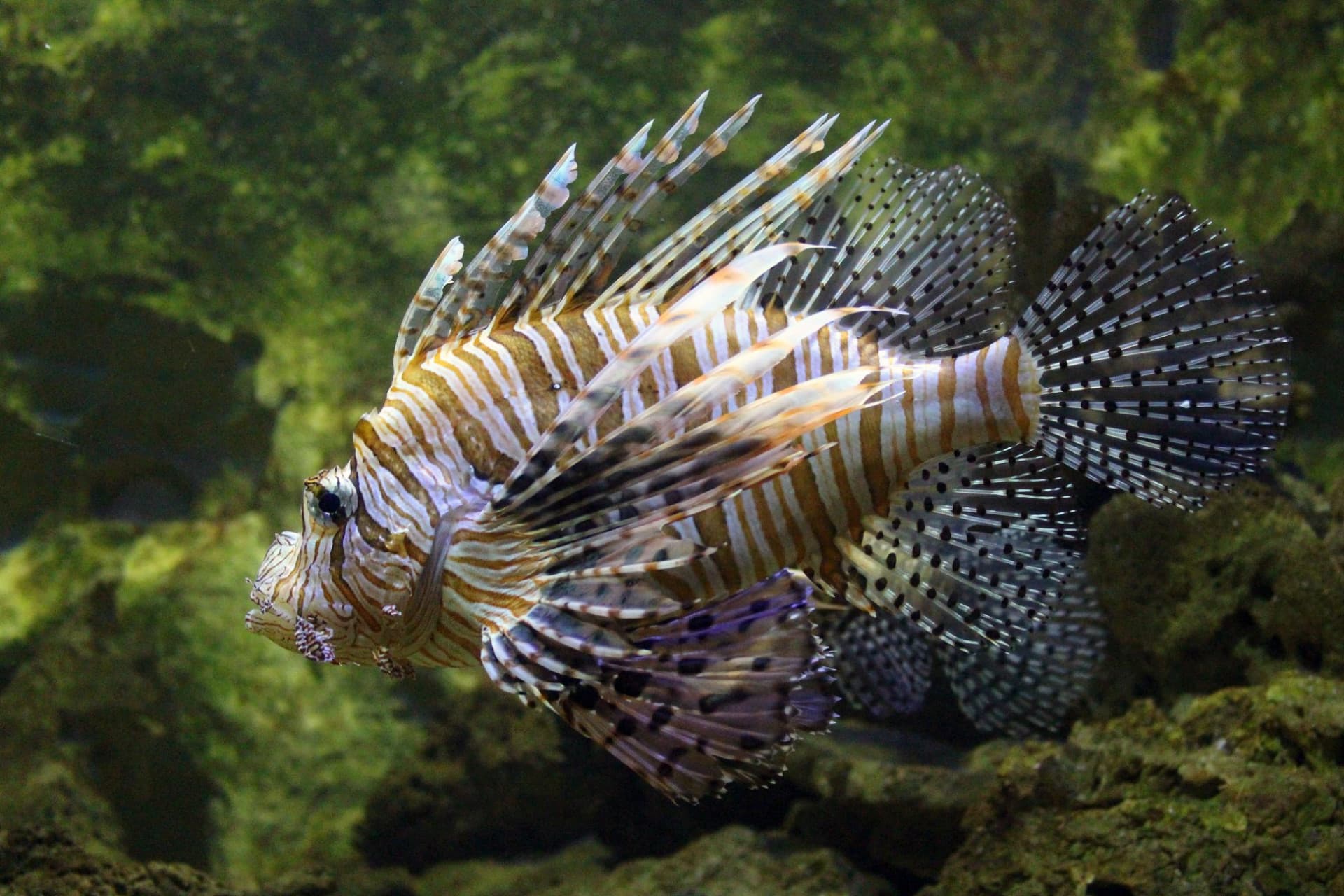 Yehliu Ocean World - image 13