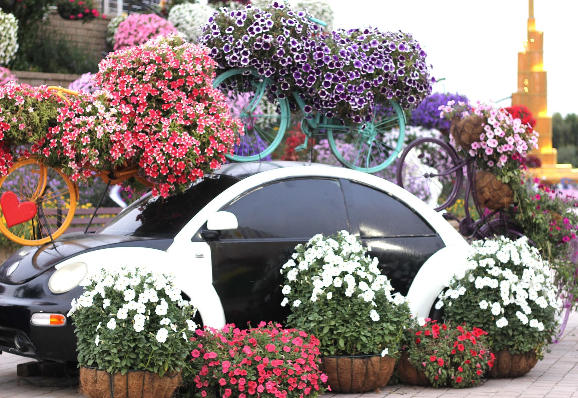 Entrada para Dubai Miracle Garden - imagen 11
