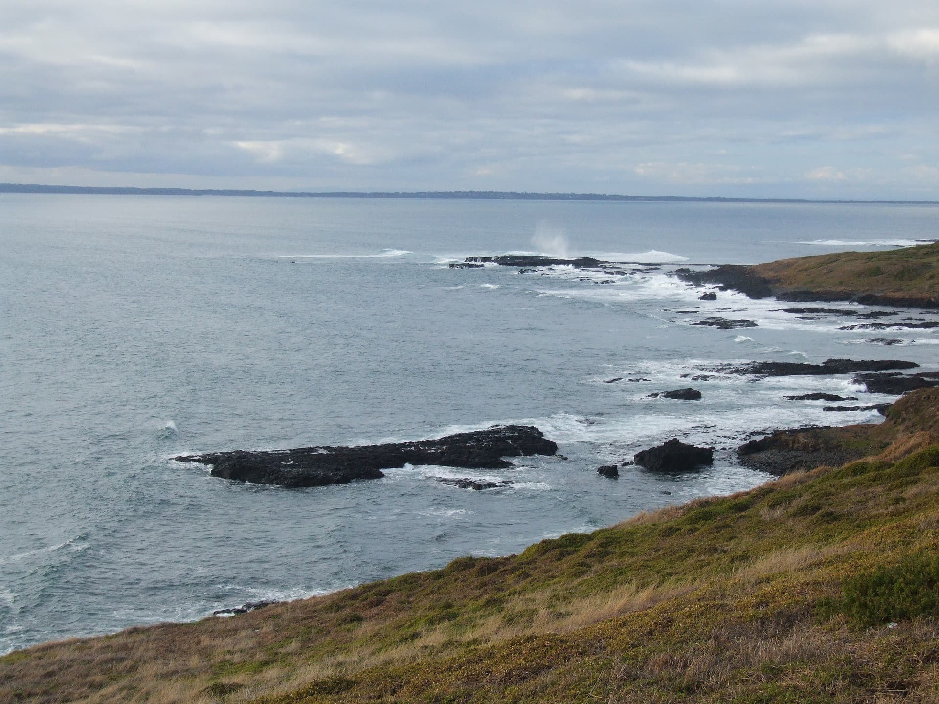 Phillip Island Nature Parks - Penguin Parade Ticket - image 11