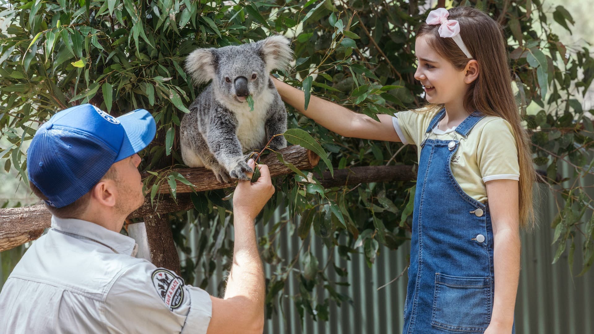 Gold Coast Warner Bros. Movie World, Sea World, Paradise Country and Wet'n'Wild Multiday Pass - image 22