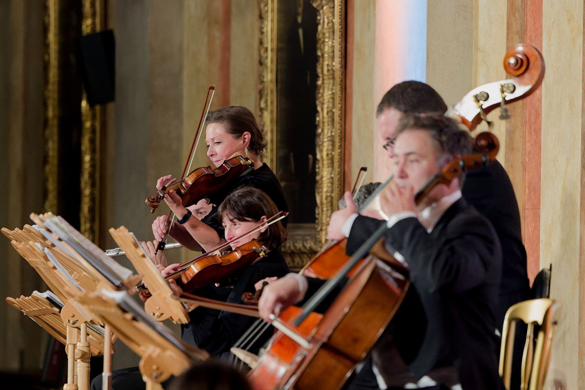 Vienna Residence Orchestra at Borse Palace Ticket - image 5