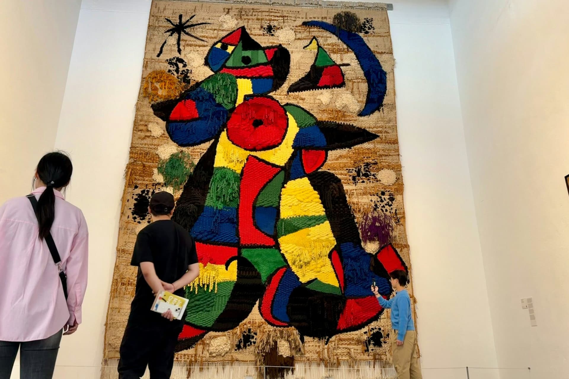 Fundació Joan Miró Ticket + Guided Tour in Mandarin, Japanese or Korean - image 2