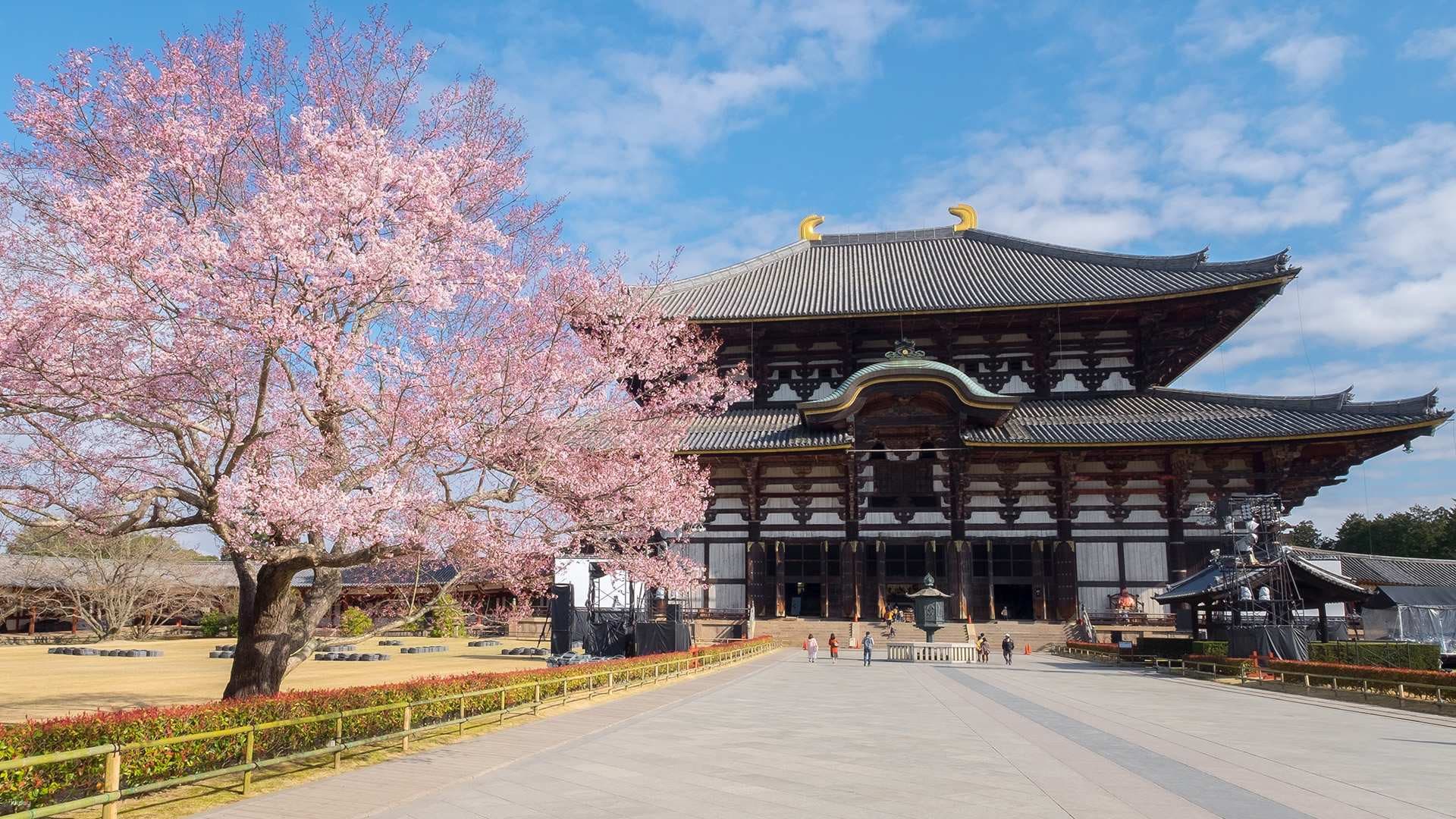 Kintetsu Rail Pass - Train & Bus Pass in Osaka, Nara, Kyoto, Mie (Ise Shima), Nagoya - image 11
