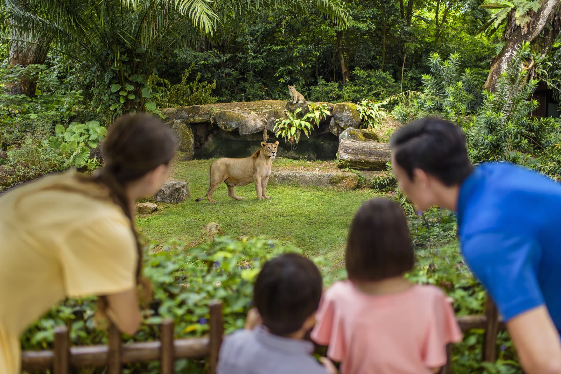 Singapore Zoo Ticket - image 12