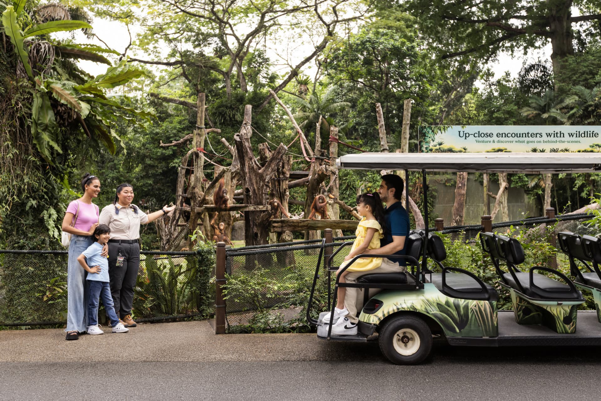 Singapore Zoo Ticket - image 4