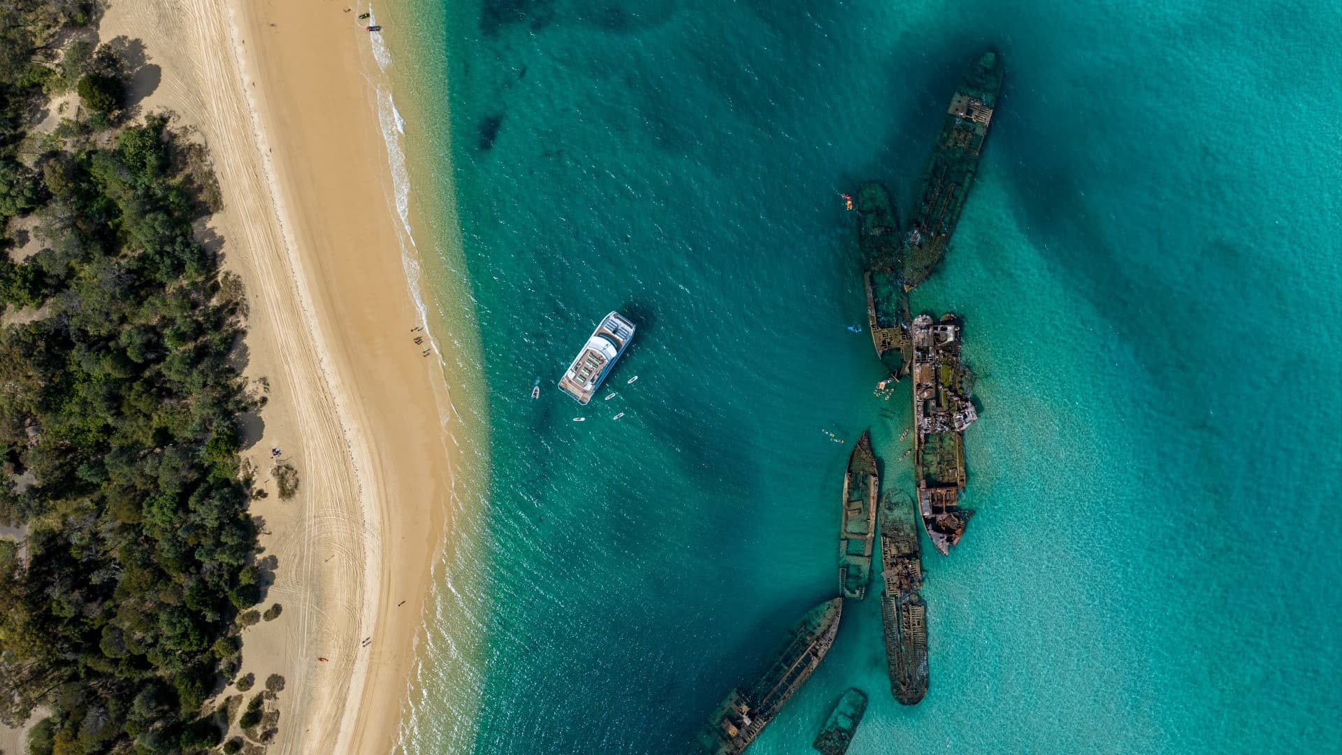 Tangalooma Wrecks & Dolphin Cruise Optional Round transfer from Brisbane City and Gold Coast - image 14