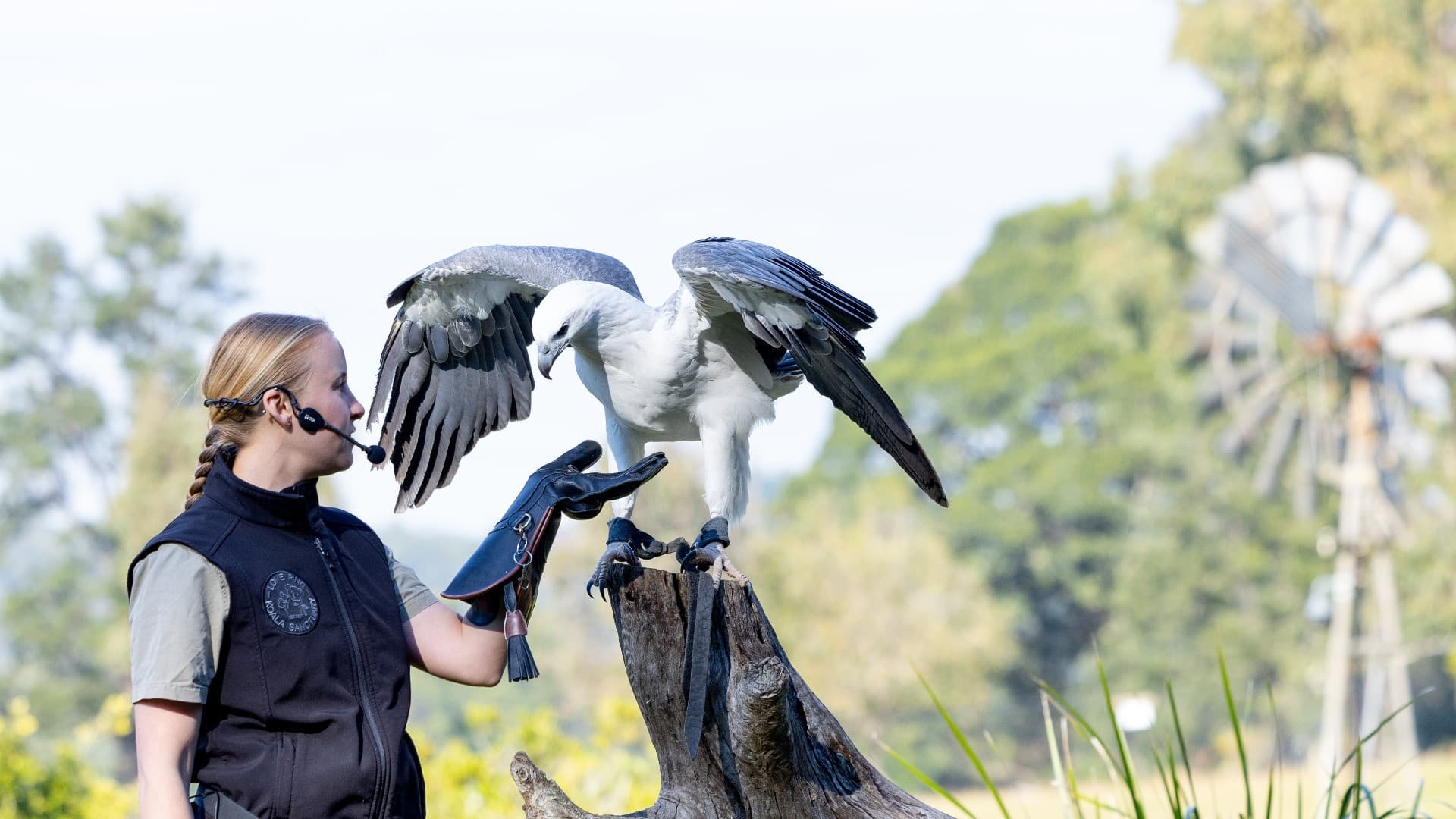 Lone Pine Koala Sanctuary Entry Ticket with Cruise from Brisbane City - image 3