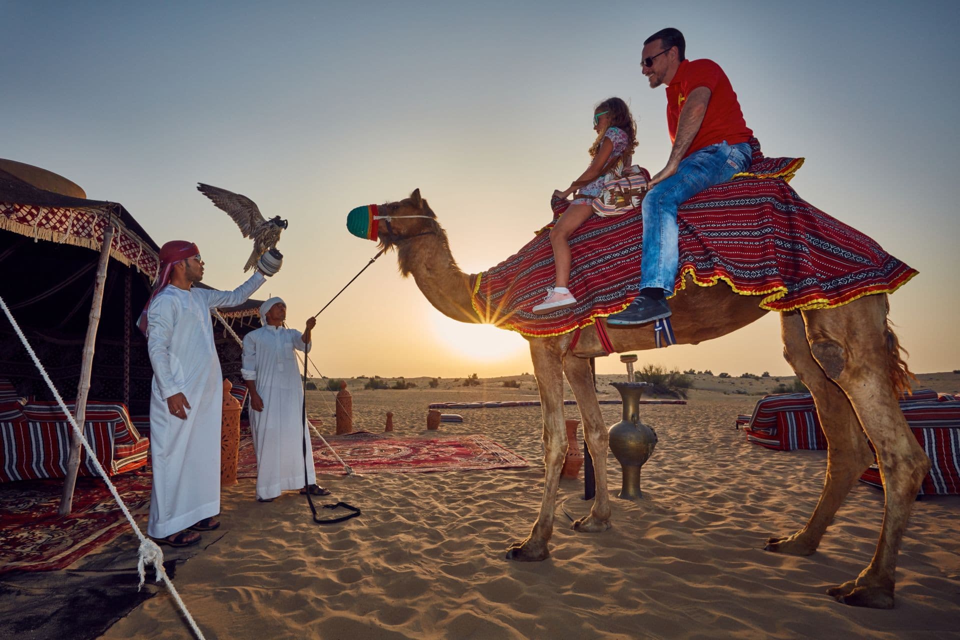 Go City Dubai Highlights Pass: Save up to 50% on Attractions - image 3