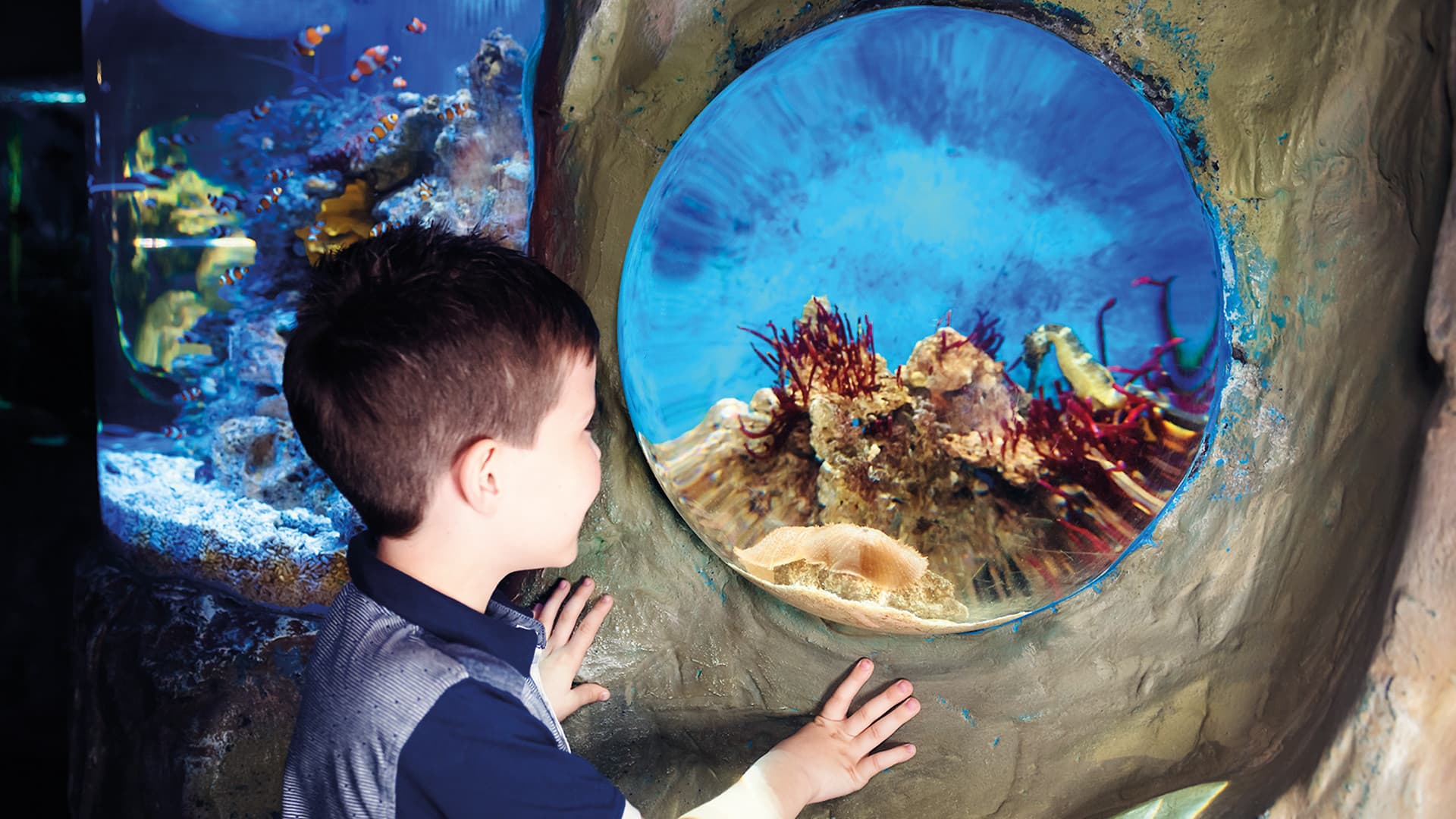 COMBO: London Eye + SEA LIFE London Aquarium Ticket - image 16